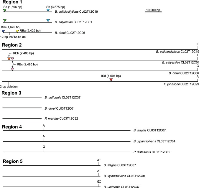 FIG 1 