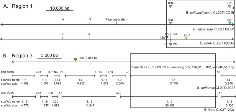 FIG 3 