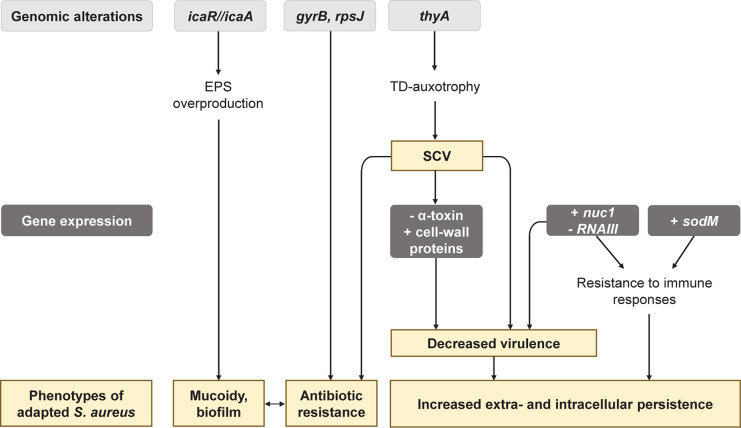 FIGURE 2