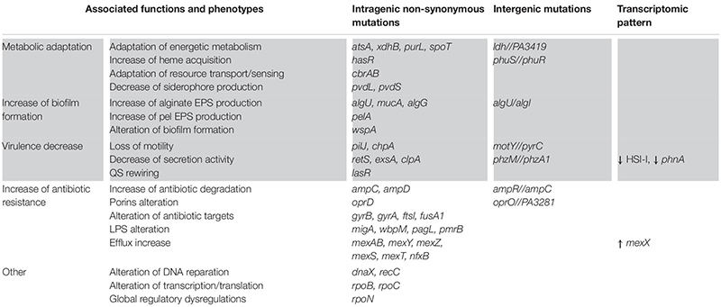 graphic file with name fmicb-12-617784-t001.jpg