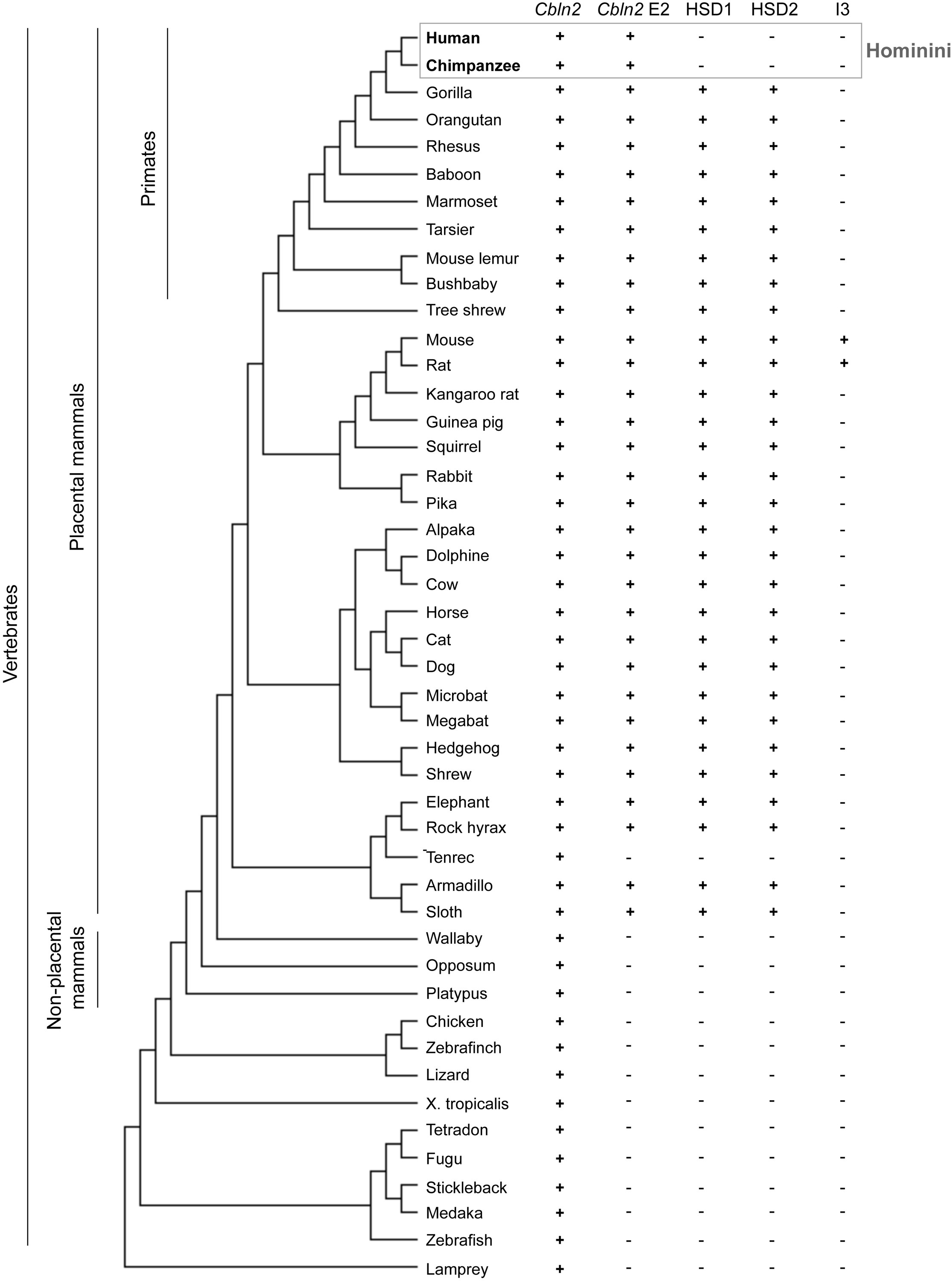 Extended Data Fig. 5 |