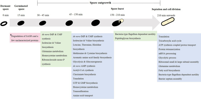 FIG 1