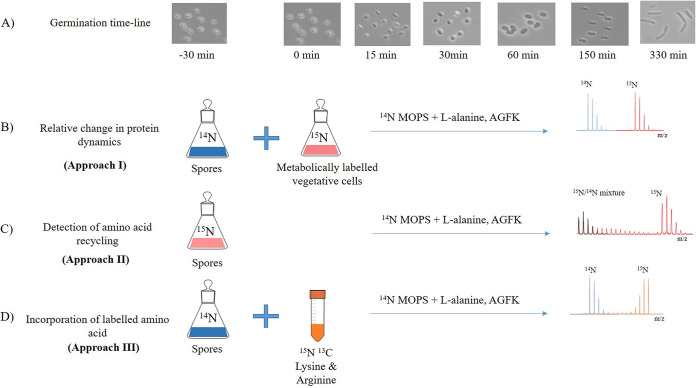 FIG 6