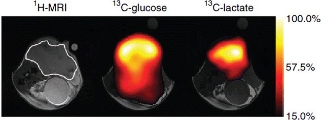 Fig. 1