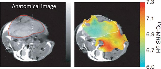 Fig. 2