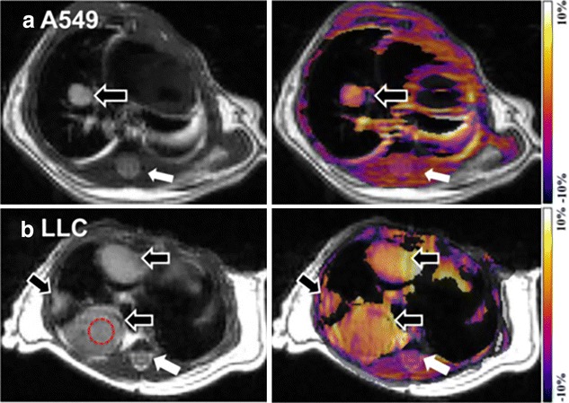 Fig. 6