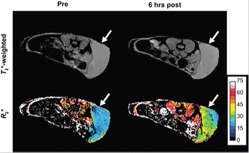 Fig. 16