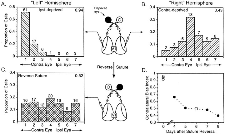 Fig. 8.