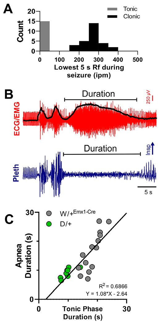 FIGURE 5: