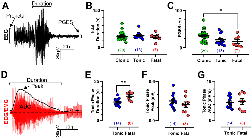 FIGURE 7: