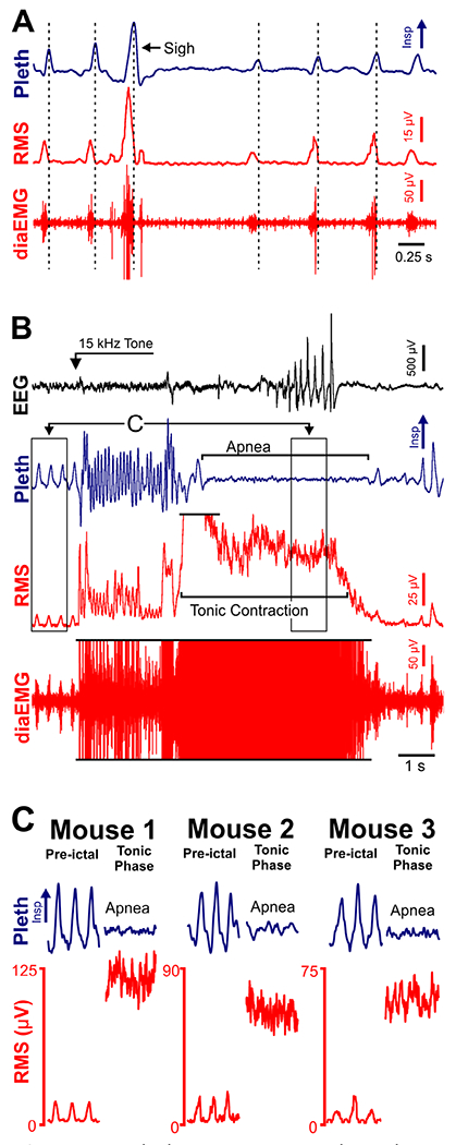 FIGURE 6: