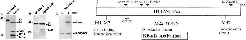 FIG. 1