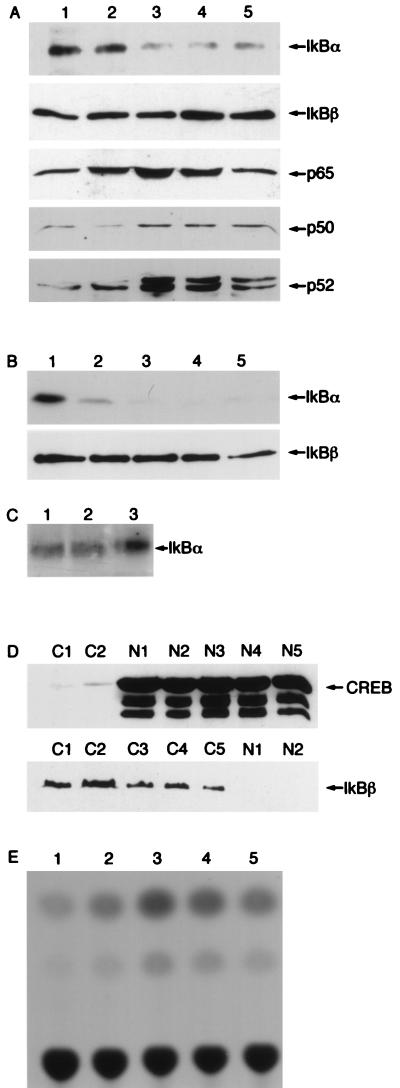 FIG. 5