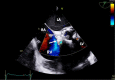 Figure 6
