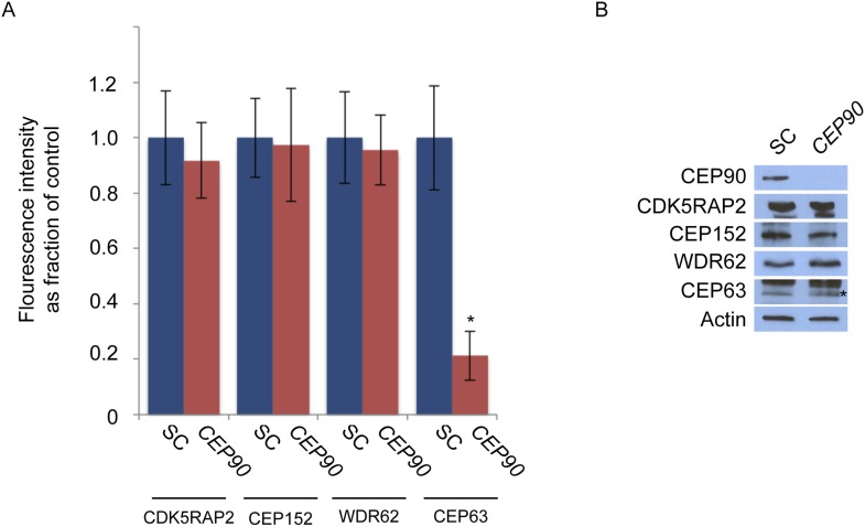 Figure 6—figure supplement 1.