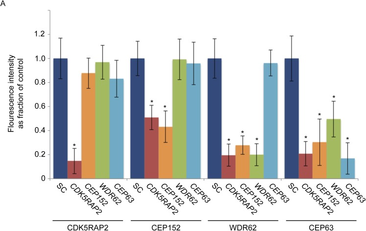 Figure 1—figure supplement 6.