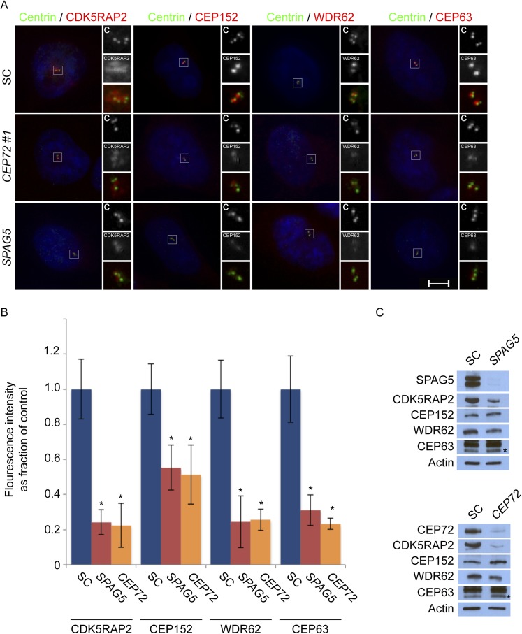 Figure 3—figure supplement 3.