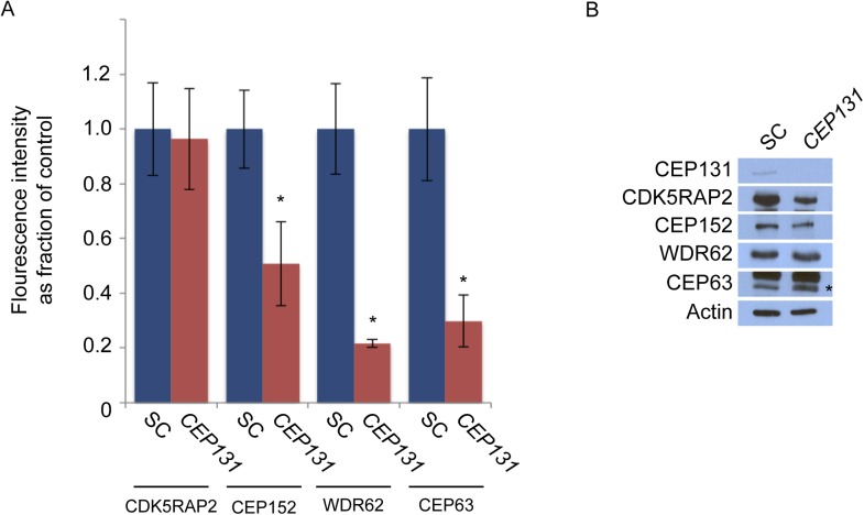 Figure 4—figure supplement 2.