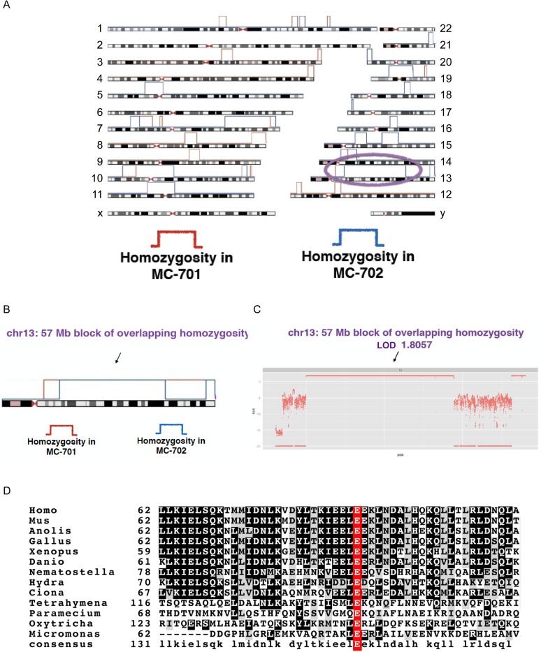 Figure 6—figure supplement 3.