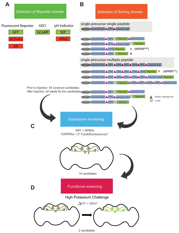 Figure 1—figure supplement 1.