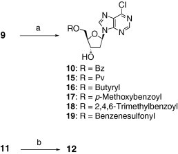 Scheme 1