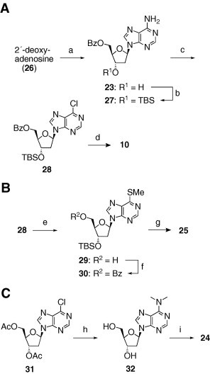 Scheme 2