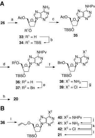 Scheme 3