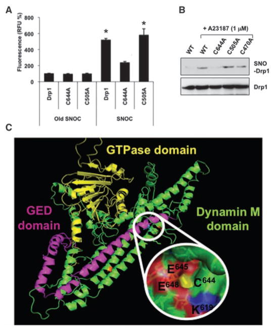 Fig. 3