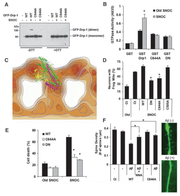 Fig. 4