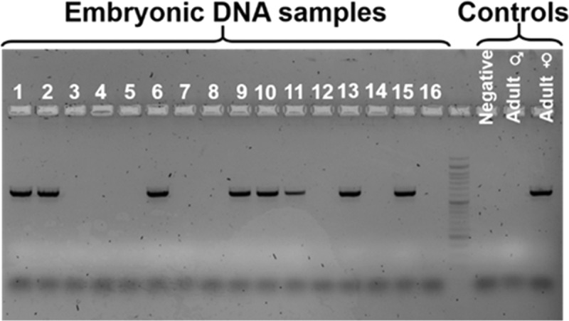 Figure 2