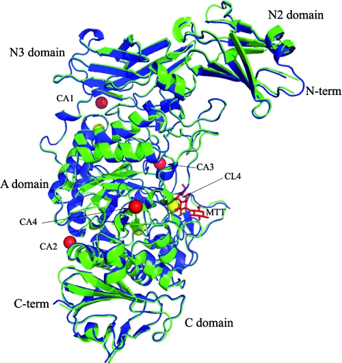 FIG. 2.