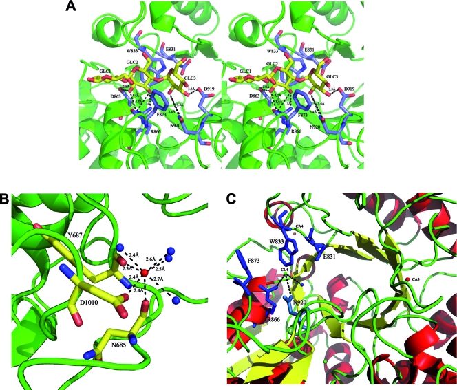 FIG. 4.