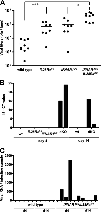 FIG. 8.