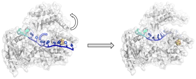 Figure 6.