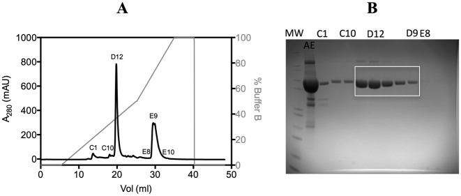 Figure 2.