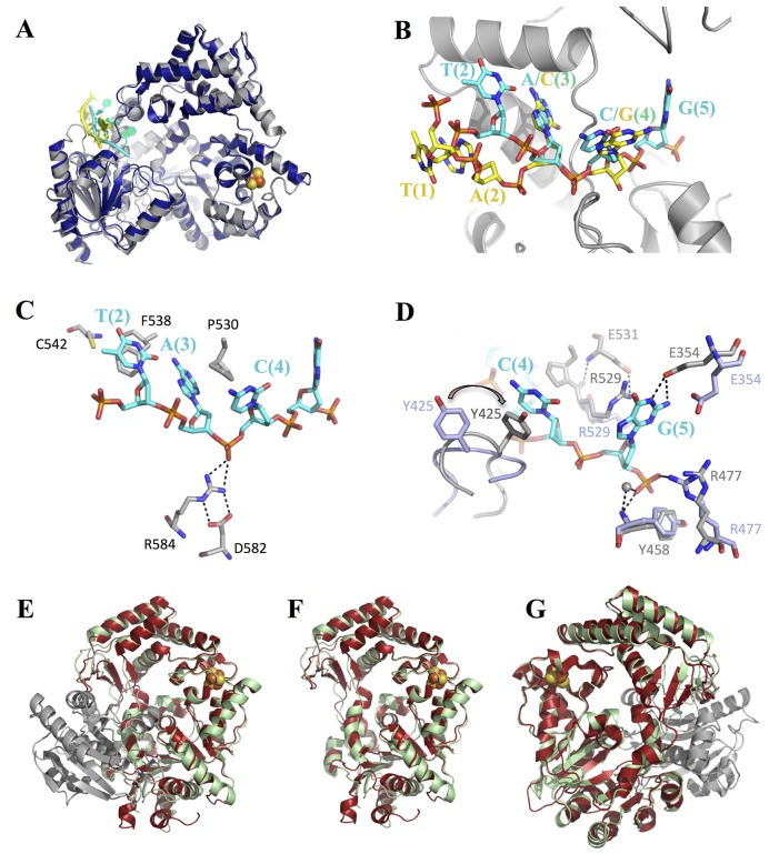 Figure 4.