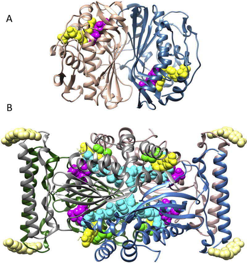 Fig. 1