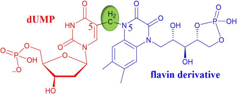 Fig. 5