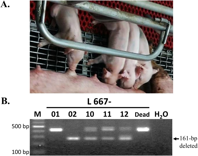 Fig 3