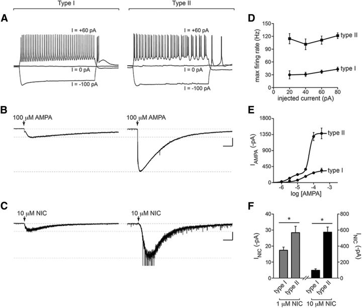 Figure 10.