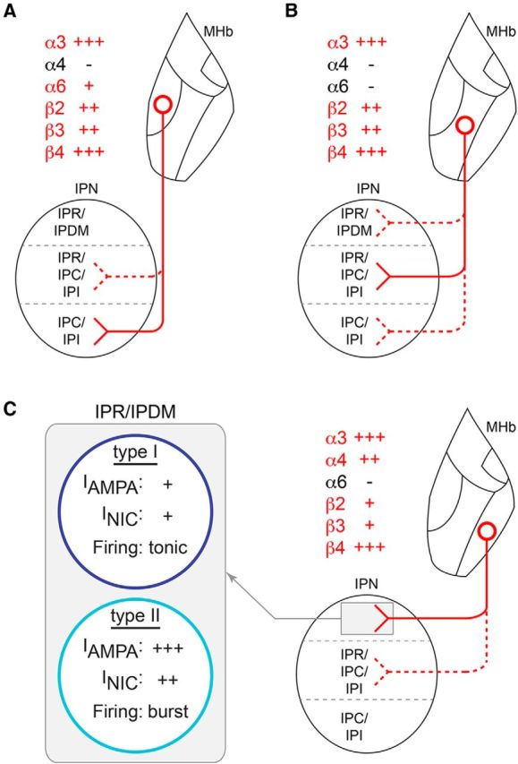 Figure 11.