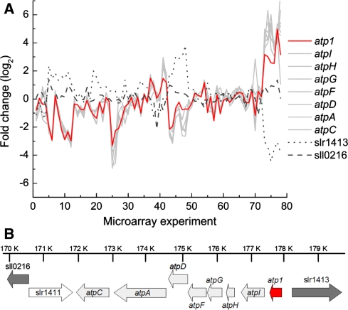 Fig. 2