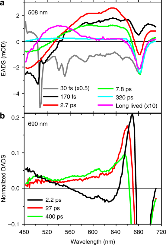 Fig. 2