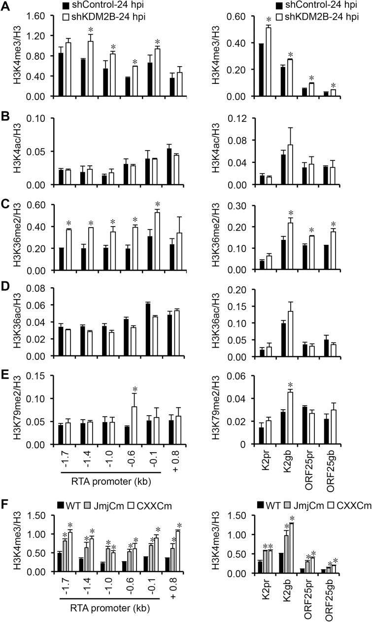 Fig 10