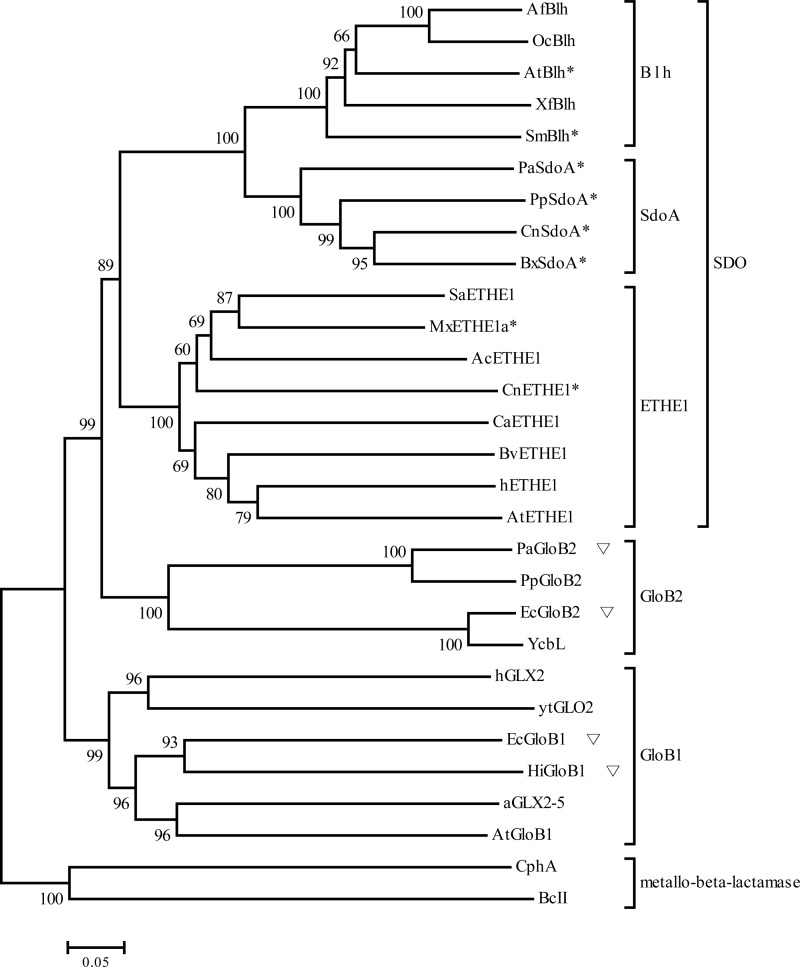 FIG 1