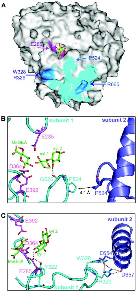 FIG. 8.