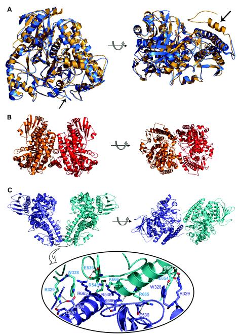 FIG.3.