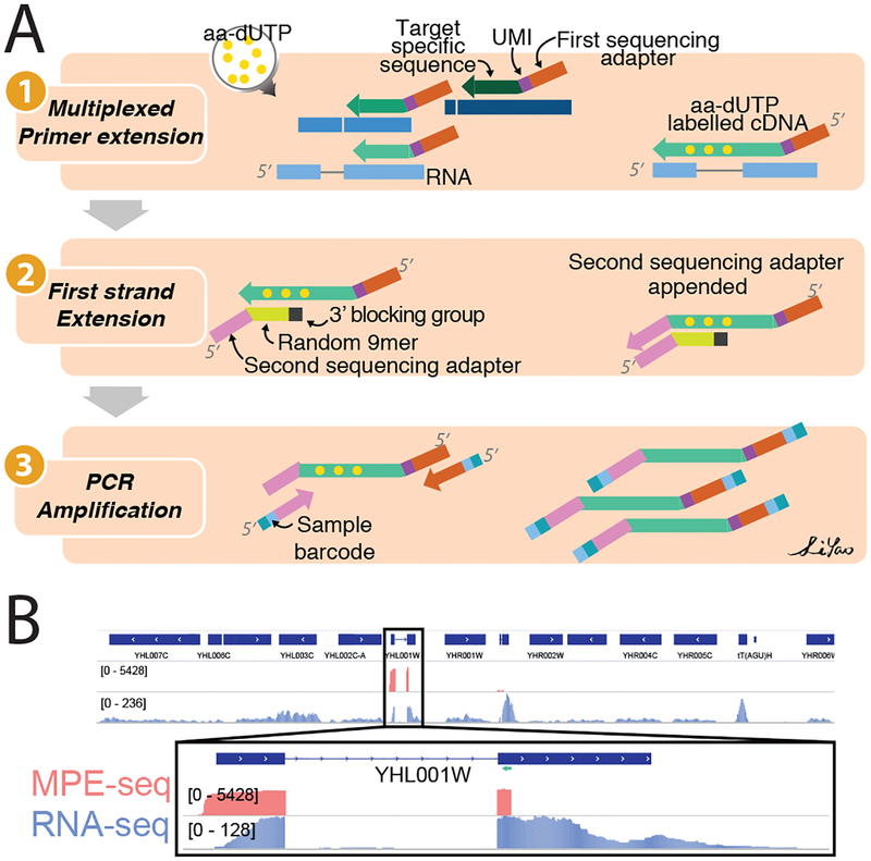 Figure1: