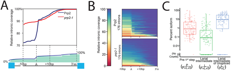 Figure3: