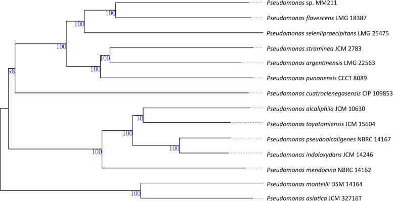 FIG 1